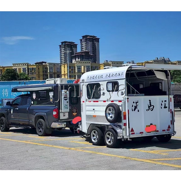 保定两马位马车